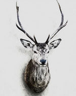 BAISITE DIY Framed Oil Painting By Numbers Flowers Pictures Canvas Painting For Living Room Wall Art Home Decor E927