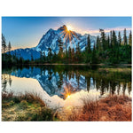 BAISITE DIY Framed Oil Painting By Numbers Flowers Pictures Canvas Painting For Living Room Wall Art Home Decor E927